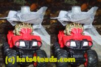 /home//u458753944/public_html/sourcegallery//McKaig Nature Center/2020-10-11/PA110740 two.JPG